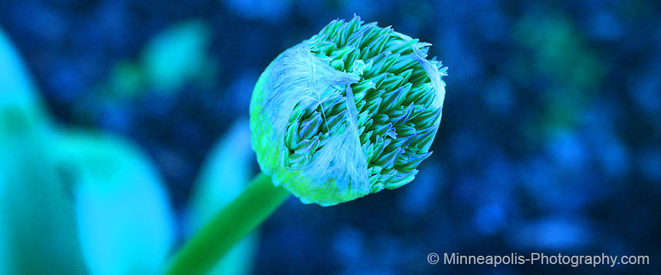 Different View Photography