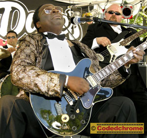 Minneapolis Concert Photography - Bluesfest - Big Daddy Cade  - &copy; Minneapolis-Photography.com