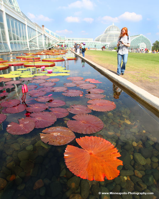 Como Conservatory - Como Zoo - &copy; Minneapolis-Photography.com