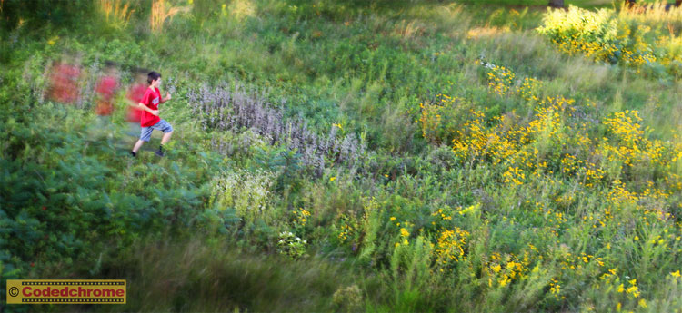 Running Dream - &copy; Minneapolis-Photography.com